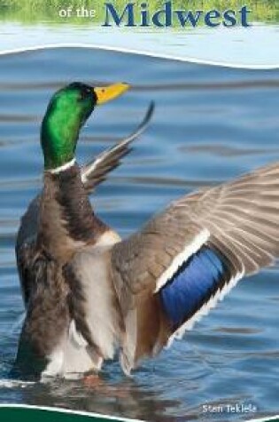 Cover of Water Birds of the Midwest