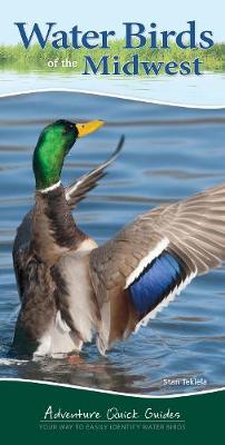 Book cover for Water Birds of the Midwest