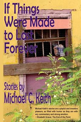 Book cover for If Things Were Made to Last Forever