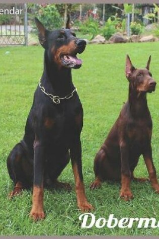 Cover of Dobermans 2021 Calendar