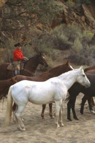 Cover of 2020 Daily Planner Horse Photo Equine Cowboy Herd 388 Pages