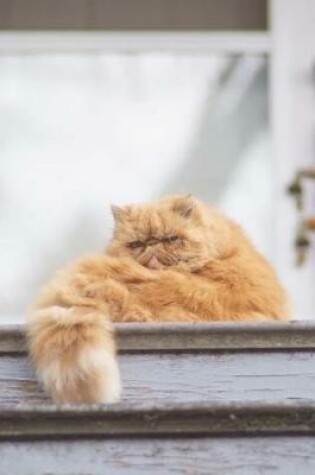 Cover of Fluffy Orange Persian Cat on Porch