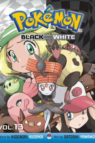 Cover of Pokémon Black and White, Vol. 13
