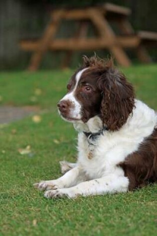 Cover of English Springer Spaniel Laying Down, for the Love of Dogs