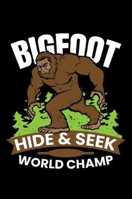 Book cover for Hide & Seek World Champ