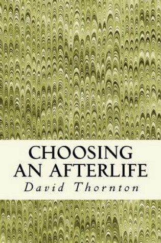 Cover of Choosing an Afterlife