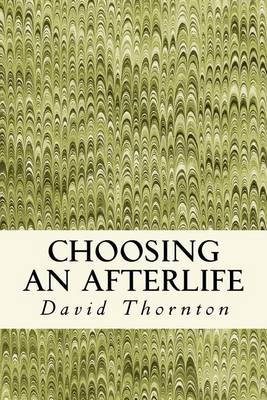 Book cover for Choosing an Afterlife