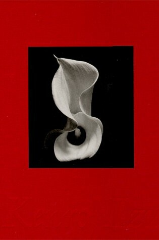 Cover of Kenro Izu: Still Life