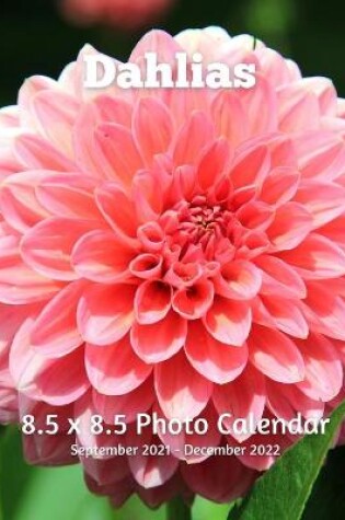 Cover of Dahlias 8.5 X 8.5 Calendar September 2021 -December 2022