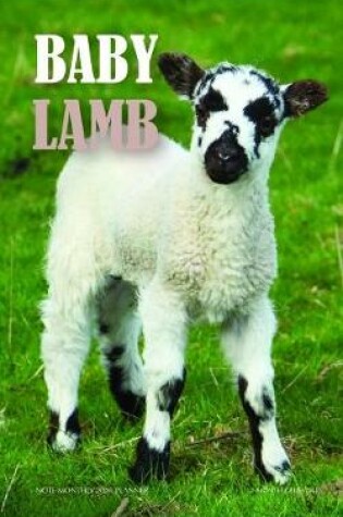 Cover of Baby Lamb Note Monthly 2020 Planner 12 Month Calendar