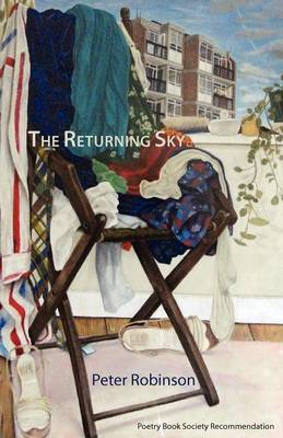 Book cover for The Returning Sky