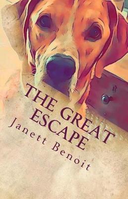 Book cover for The Great Escape