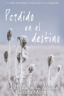 Cover of Perdido en el destino
