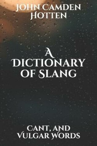 Cover of A Dictionary of Slang