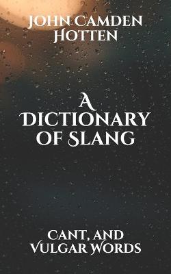 Book cover for A Dictionary of Slang