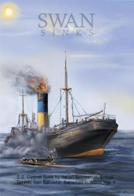 Book cover for Swan Sinks