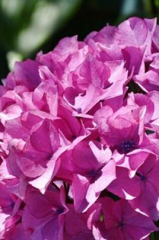 Cover of Lavender Hydrangea Flowers Blooming in Spring Journal