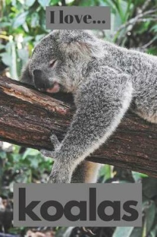 Cover of I Love Koalas