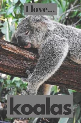 Book cover for I Love Koalas