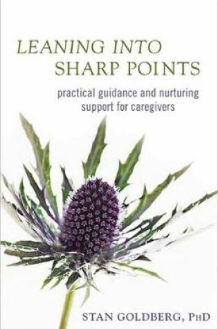 Cover of Leaning into Sharp Points