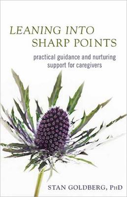 Book cover for Leaning into Sharp Points