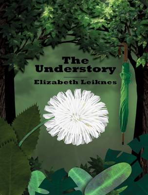 Book cover for Understory