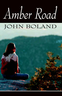 Book cover for Amber Road