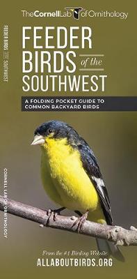 Book cover for Feeder Birds of the Southwest