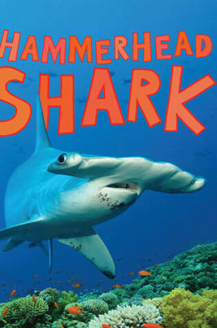 Cover of Hammerhead Shark