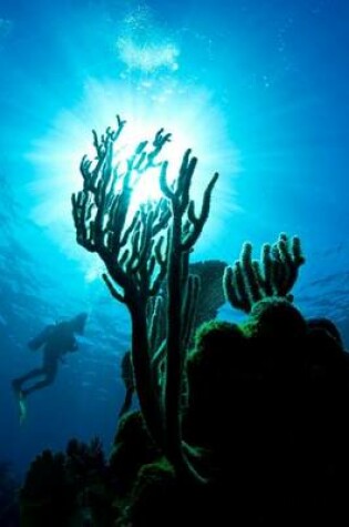 Cover of A Scuba Diver Admiring the Coral on a Reef in Honduras Journal