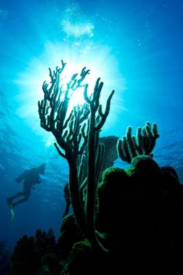 Book cover for A Scuba Diver Admiring the Coral on a Reef in Honduras Journal