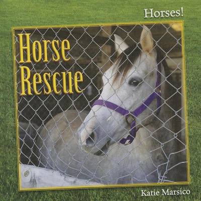 Book cover for Horse Rescue