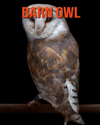 Book cover for Barn owl