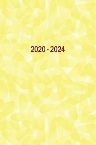 Cover of 2020 - 2024