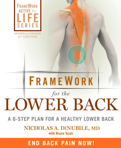 Book cover for FrameWork for the Lower Back