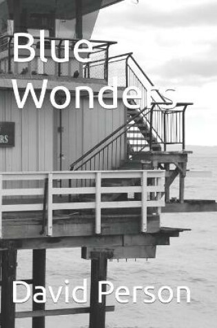 Cover of Blue Wonders