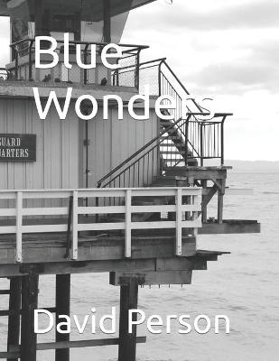 Book cover for Blue Wonders