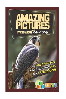 Book cover for Amazing Pictures and Facts about Falcons
