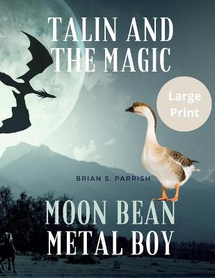 Book cover for Talin and the Magic Moon Bean Metal Boy (Large Print Edition)