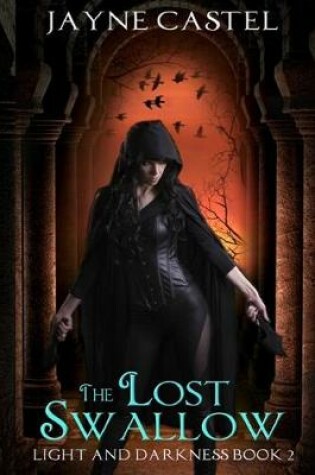 Cover of The Lost Swallow