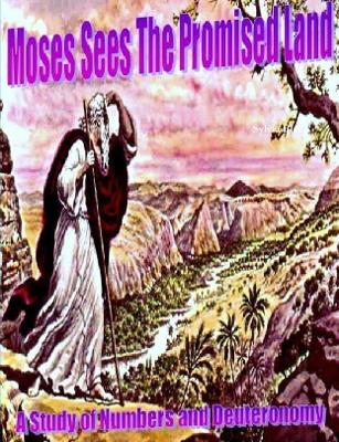 Book cover for "Moses Sees the Promised Land" A Study of Numbers and Deuteronomy