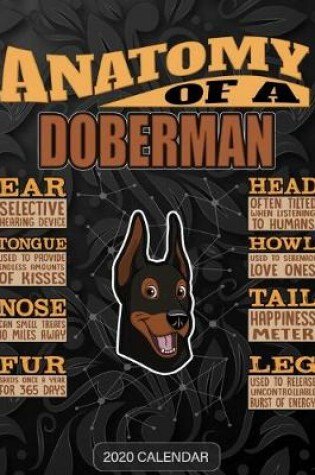 Cover of Anatomy Of A Doberman