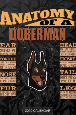 Book cover for Anatomy Of A Doberman