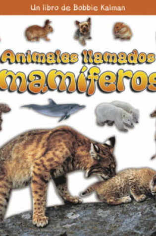 Cover of Animales Llamados Mamiferos