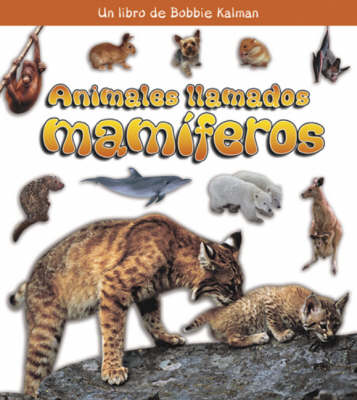 Book cover for Animales Llamados Mamiferos