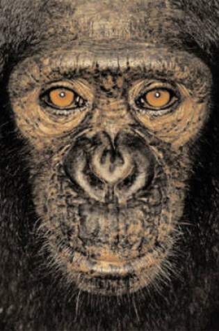 Cover of James and Other Apes