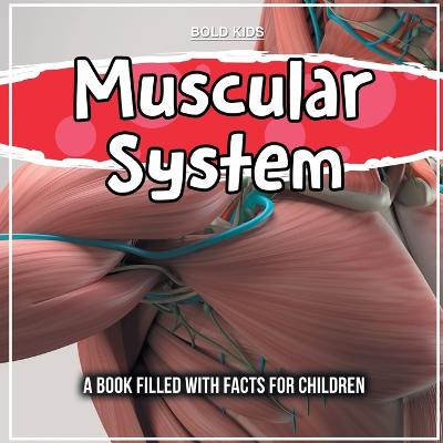 Book cover for Muscular System