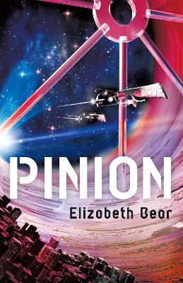 Book cover for Pinion