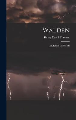 Book cover for Walden