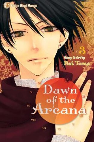 Cover of Dawn of the Arcana, Vol. 3